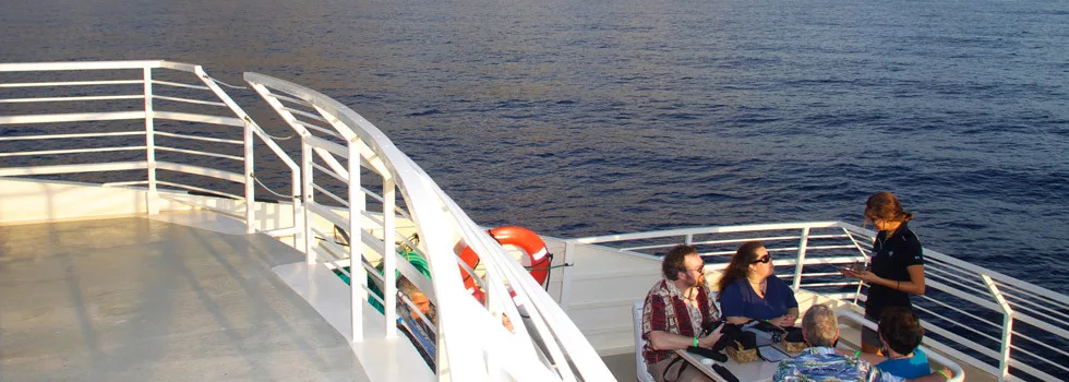 Dinner-cruise-on-maui