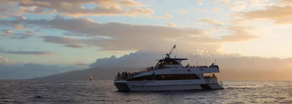 Whale-watching-cruise-on-maui