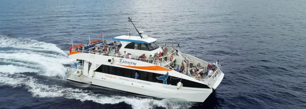 Maui dinner cruise boat