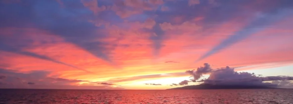 Purple sunset maui dinner cruise