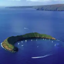 Molokini Catamaran Snorkel: Molokini Thumb