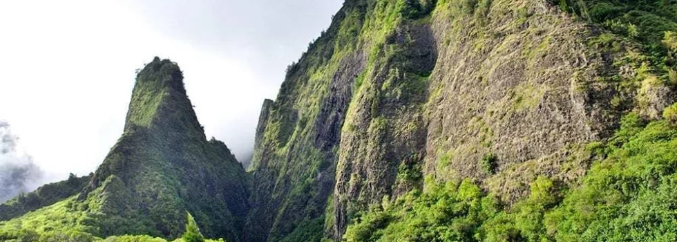 Iao valley tour needle