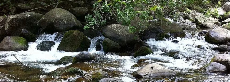 Maui iao valley hiking tour