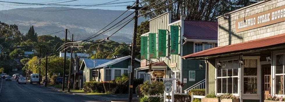 Maui makawao street tour