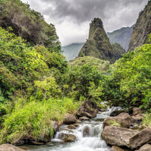 Maui Island Sightseeing Tour