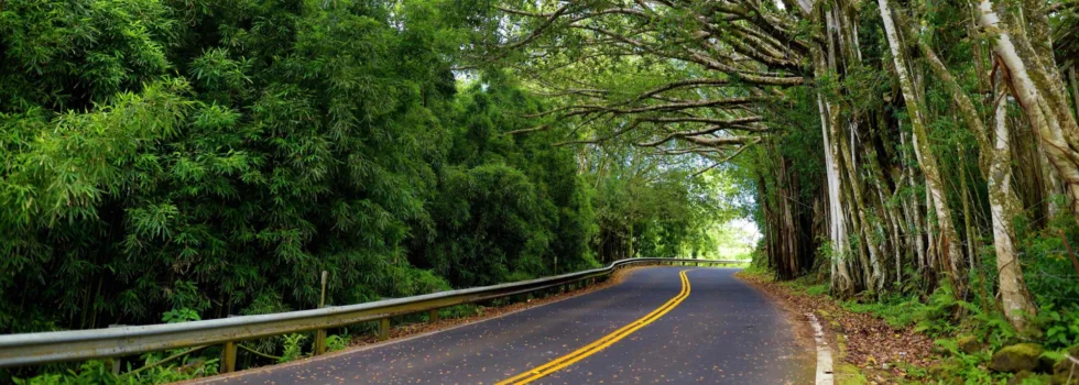 Best road to hana tour