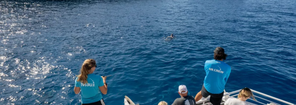 Best snorkeling lanai boat