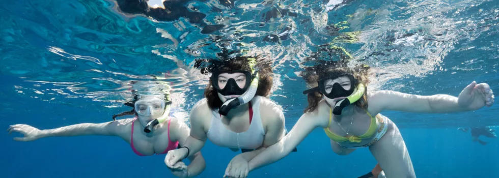 Maui snorkel tour hawaii