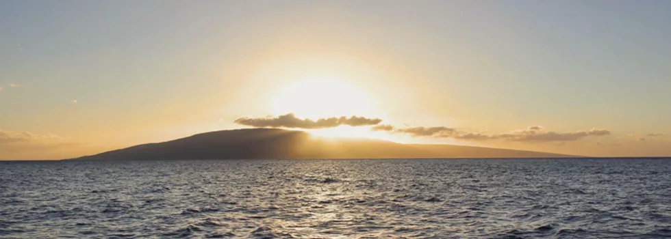 Sunset horizon maui dinner cruise