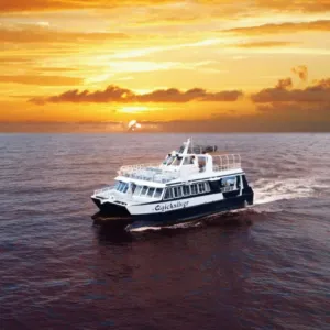 Maui Sunset Dinner Cruise