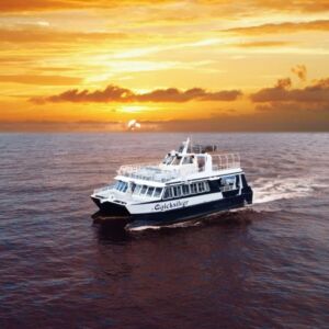 Maui Sunset Dinner Cruise