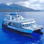 Quicksilver maui boat