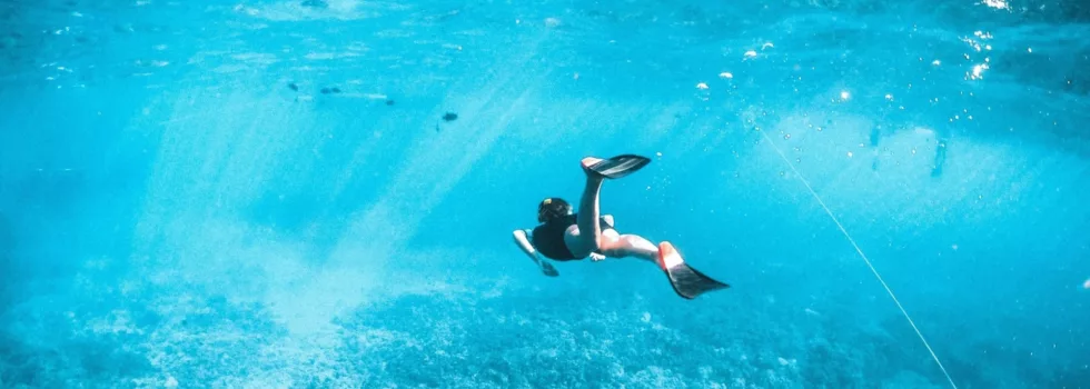 Maui to lanai turtle snorkel