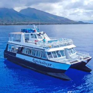 Turtle Town Snorkel Boat Tour