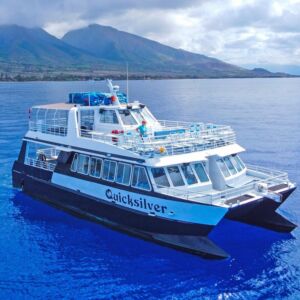 Turtle Town Snorkel Boat Tour