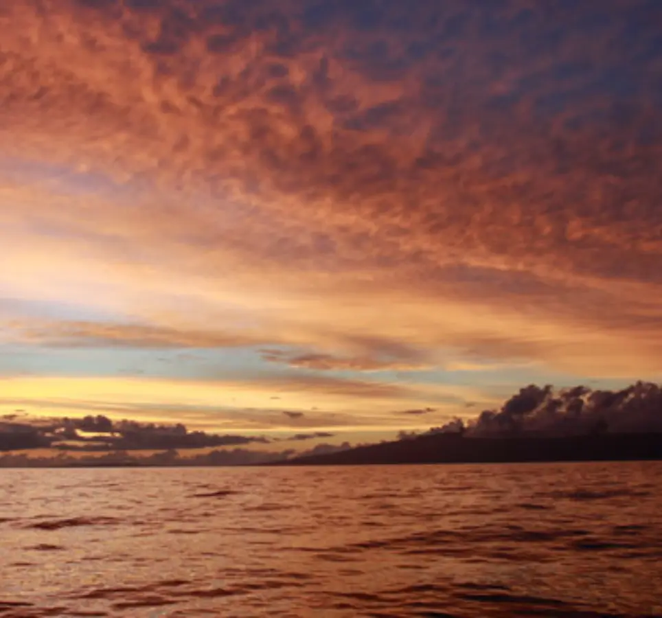 Catamaran Champagne Sunset Sail