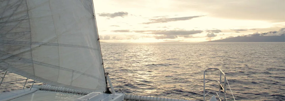 Maui Catamaran Sunset Sail