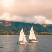 Lahaina Harbor Sunset Catamaran: Catamarans sailing past lahaina thumb