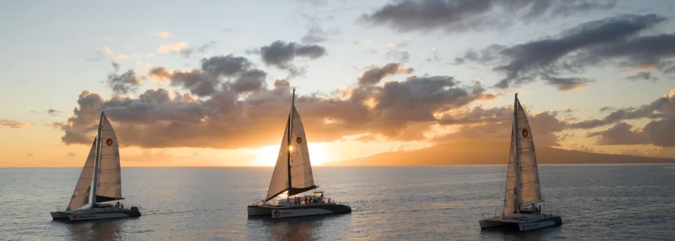 Luxury catamarans lined up for maui sunset