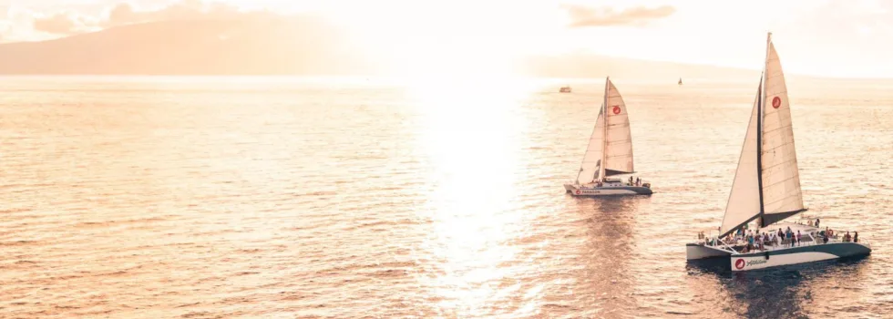 Luxury catamarans sailing into maui sunset