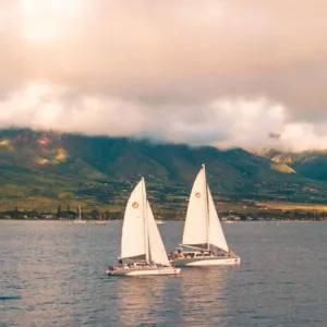 Lahaina Harbor Sunset Catamaran