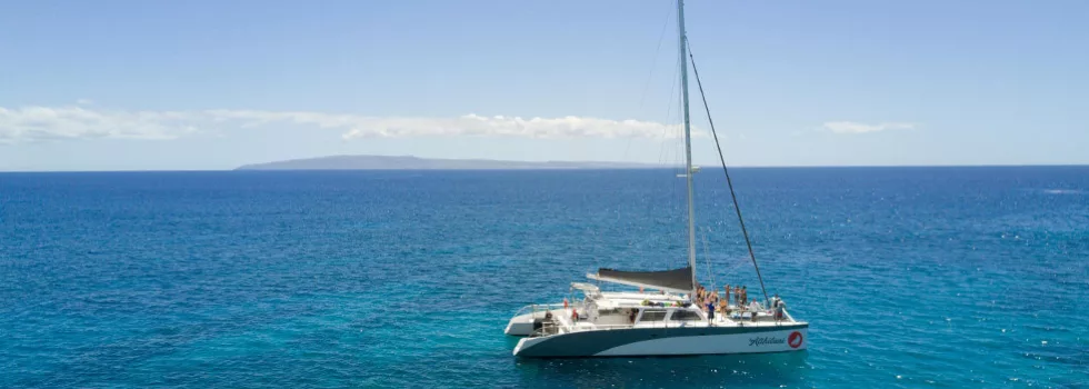 Maui catamaran cruise
