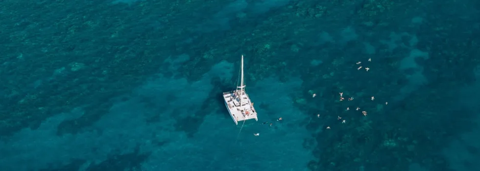 Snorkeling off lanai sea cliffs