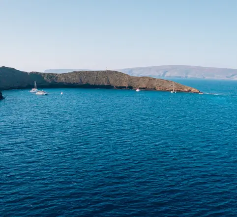Molokini Catamaran Snorkel photo 5