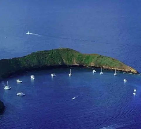 Molokini Catamaran Snorkel photo 2