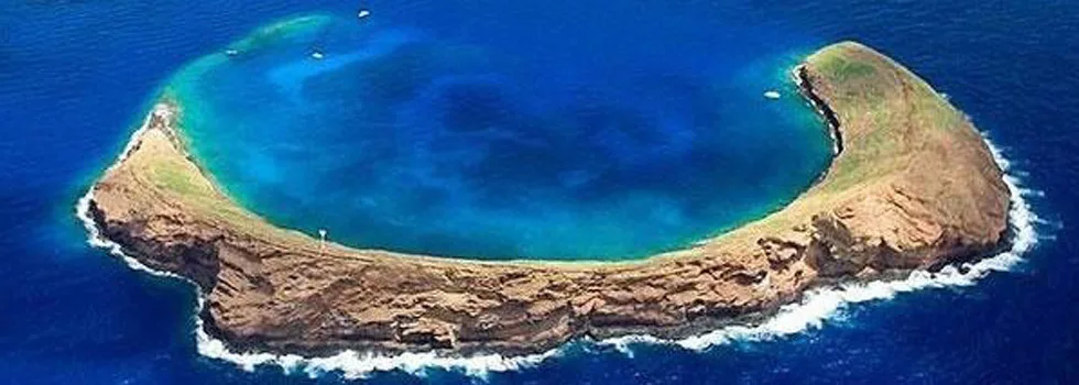 Molokini Crater Maui Snorkeling