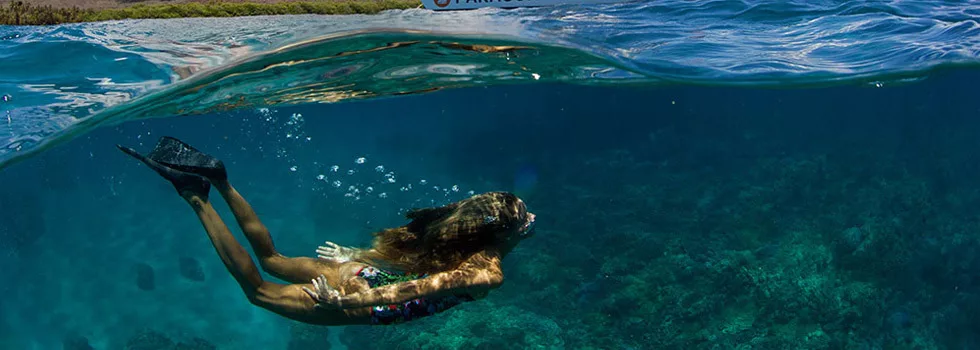 Snorkeling Catamaran Maui