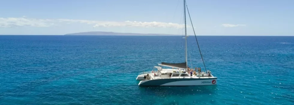 Racing catamaran maui