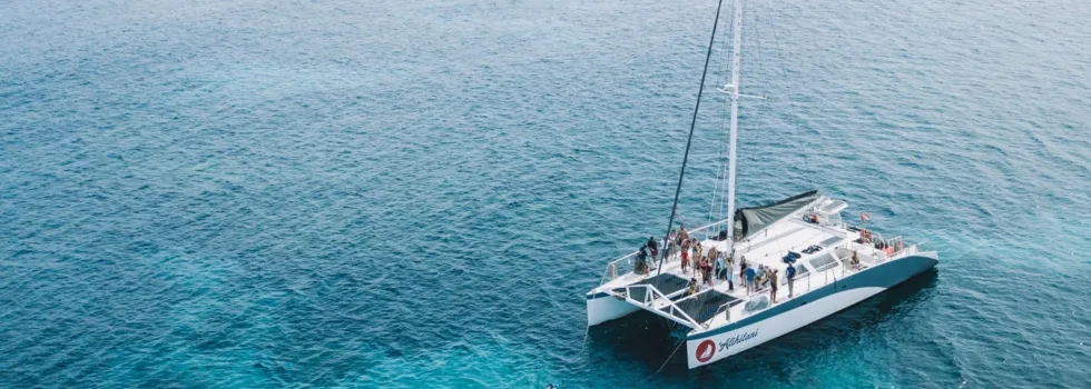Coral garden maui anchor luxury catamaran