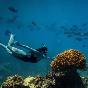 Coral Gardens Snorkeling by Secluded Cliffs