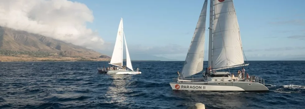 Whale watchin boat wailea