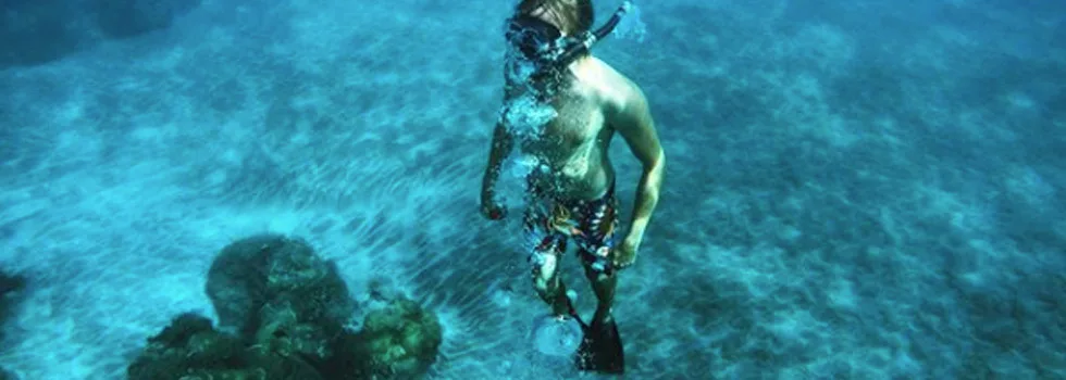 Snorkeling Lanai Catamaran