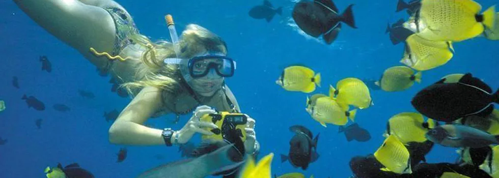 Snorkeling Reefs Tour Maui