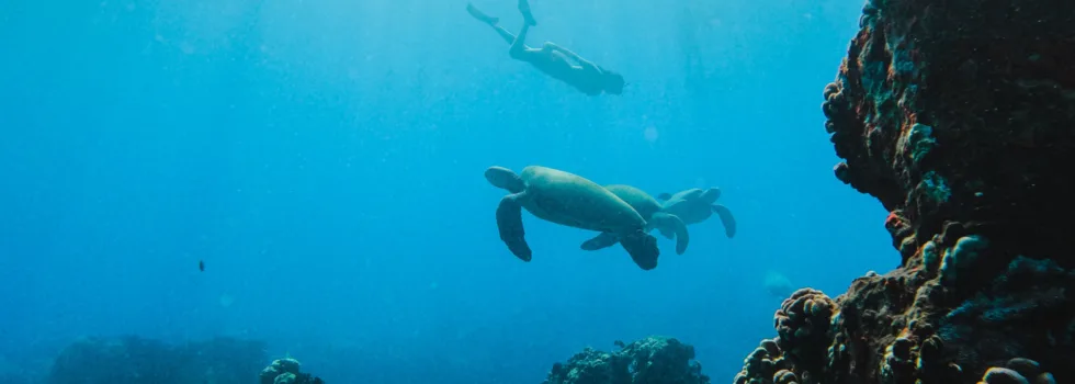 West maui snorkel location lava tubes