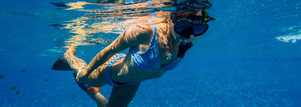 West maui healthy coral reef snorkeling