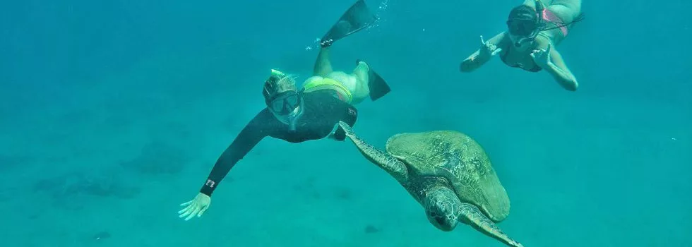 Snorkeling With Turtles Near Kaanapali