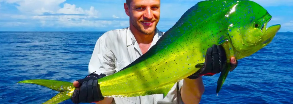 Deep sea fishing from maalaea harbor