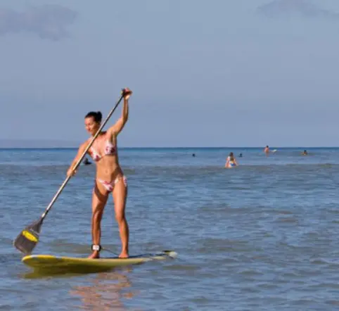 Kihei SUP Rental photo 2