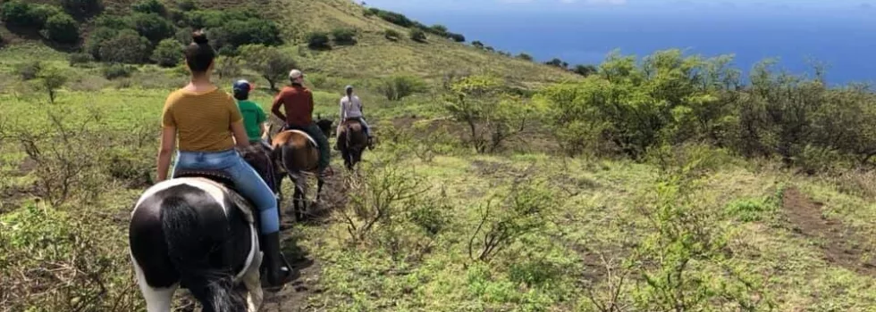 Best horseback ride maui