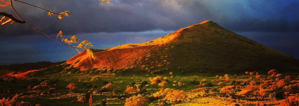 Horse trail ride maui
