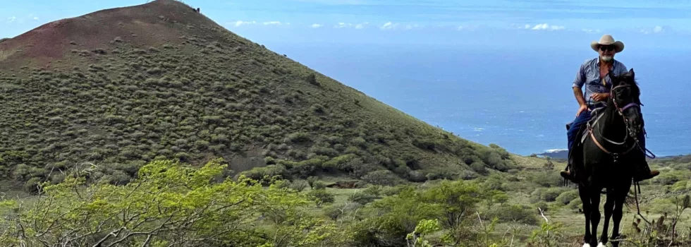 Ride horses in maui mountains