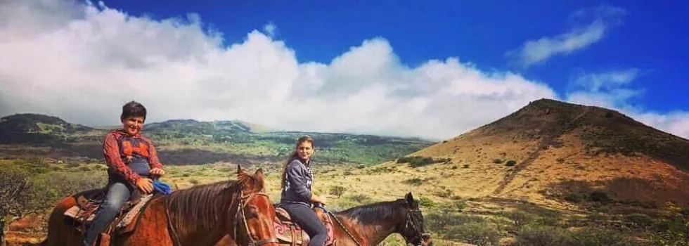 Mountain horse ride maui