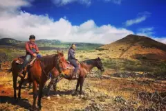 Private Upcountry Horseback Ride: Mountain horse ride maui