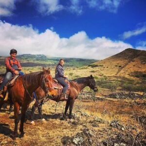 Private Upcountry Horseback Ride