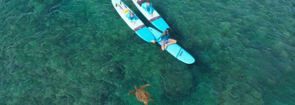 Surfing lessons in wailea maui