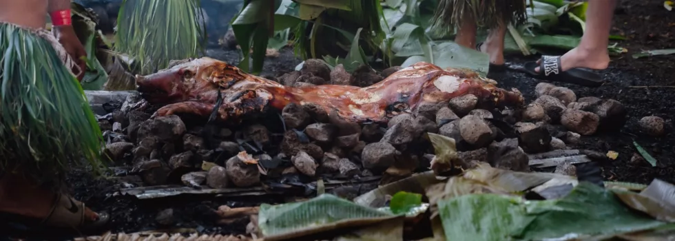 Luau pig imu underground oven